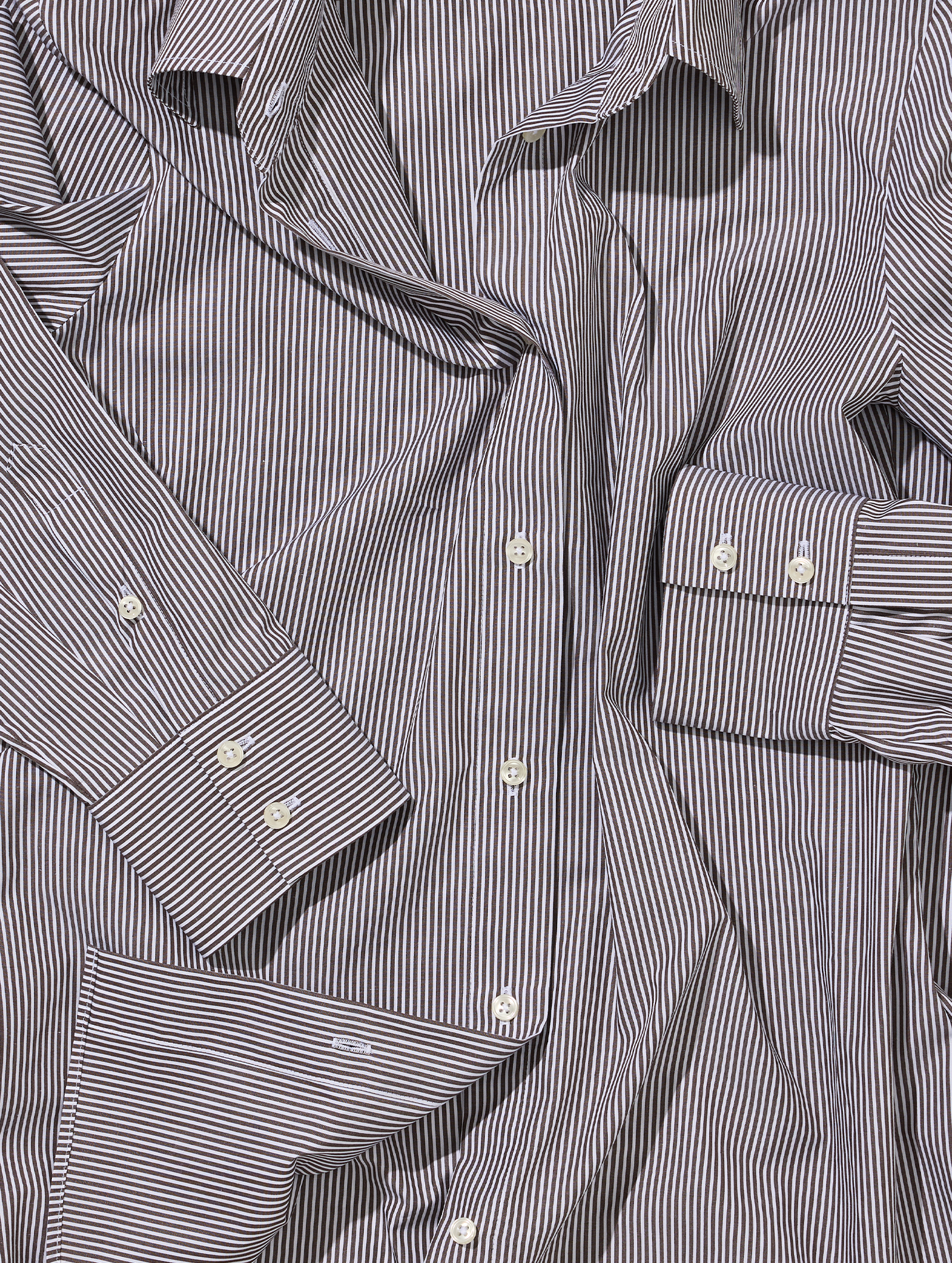 OB1 OFFICE PENCIL STRIPE POPLIN | WOMEN (CHOCOLATE)